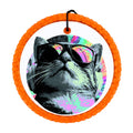 Cool cat wearing reflective sunglasses with colorful neon accents.