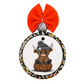 Cute Highland cow wearing a black skull beanie while sitting on a leopard-print pumpkin.
